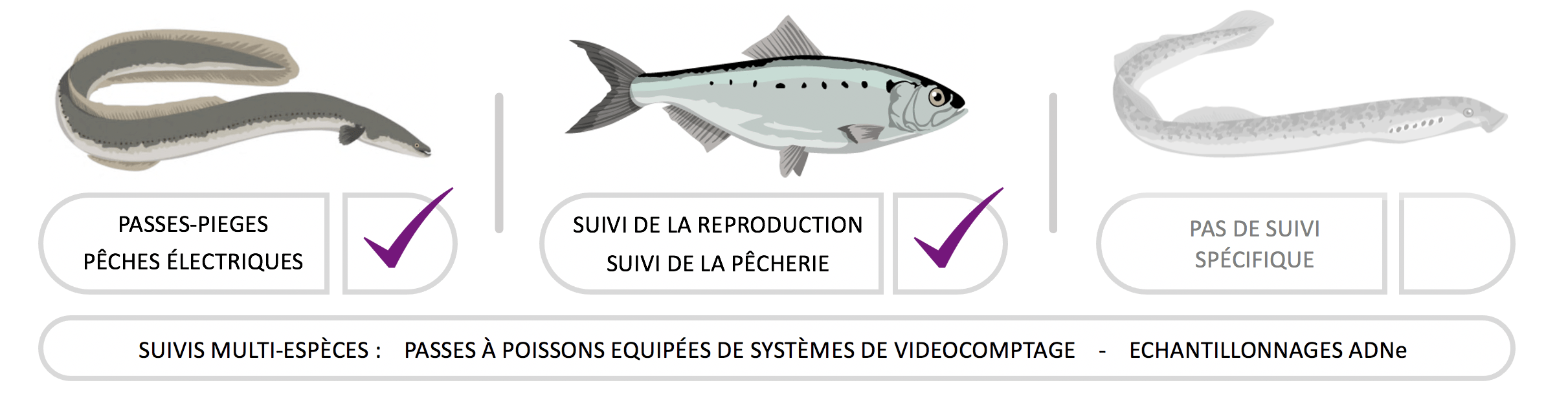 Capture-d’écran-2020-10-13-à-10.08.15.png